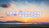 專業除蟲公司如何滅跳蚤(三)--跳蚤防治與消殺