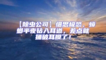 【除蟲公司】細思極恐,蟑螂半夜鉆入耳道,差點就捅破耳膜了!