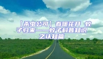 【殺蟲公司】春暖花開 蚊子歸來——蚊子科普知識之認知篇