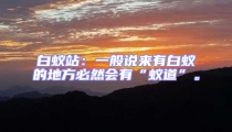 白蟻站:一般說來有白蟻的地方必然會有“蟻道”。