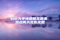 螞蟻為爭地盤相互廝殺 激戰兩天死傷無數