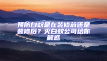 預(yù)防白蟻是在裝修前還是裝修后?滅白蟻公司給你解惑