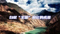 白蟻“王國”和它的成員