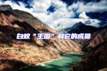 白蟻“王國”和它的成員