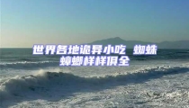 世界各地詭異小吃 蜘蛛蟑螂樣樣俱全