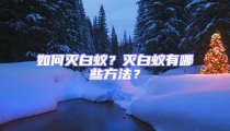 如何滅白蟻?滅白蟻有哪些方法?