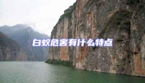 白蟻危害有什么特點