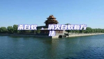 殺白蟻 、消滅白蟻新方法