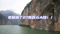 老鼠啃了27張百元大鈔!!