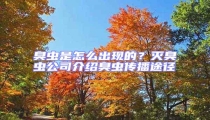 臭蟲是怎么出現的?滅臭蟲公司介紹臭蟲傳播途徑