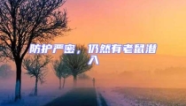 防護嚴密,仍然有老鼠潛入