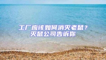 工廠應(yīng)該如何消滅老鼠?滅鼠公司告訴你
