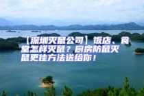 【深圳滅鼠公司】飯店、食堂怎樣滅鼠？廚房防鼠滅鼠更佳方法送給你！