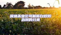 深圳殺蟲公司解析白蟻防治劑的分類