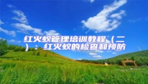 紅火蟻管理培訓教程(二):紅火蟻的檢查和預防