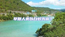 早期人類以白蟻為食?