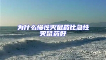 為什么慢性滅鼠藥比急性滅鼠藥好