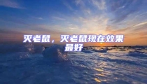 滅老鼠,滅老鼠現在效果最好