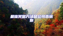 最佳滅鼠方法鼠公司告訴你