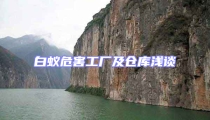 白蟻危害工廠及倉庫淺談
