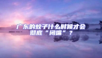 廣東的蚊子什么時候才會徹底“閉嘴”?