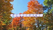 專業指導徹底消滅蟑螂