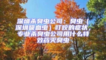 深圳殺臭蟲公司:臭蟲(深圳吸血蟲)叮咬的癥狀,專業(yè)殺臭蟲公司用什么特效藥滅臭蟲