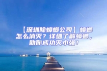 【深圳除蟑螂公司】蟑螂怎么消滅？詳細了解蟑螂，助你成功滅小強！