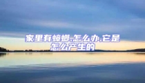 家里有蟑螂,怎么辦,它是怎么產生的