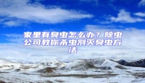家里有臭蟲怎么辦?除蟲公司教你殺蟲劑滅臭蟲方法