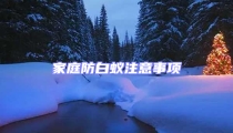 家庭防白蟻注意事項