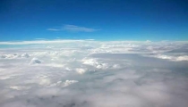 “漲水蛾”紛飛,白蟻巢分布的兩種情況