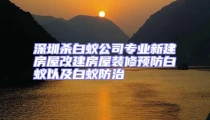 深圳殺白蟻公司專業新建房屋改建房屋裝修預防白蟻以及白蟻防治