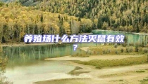 養(yǎng)殖場什么方法滅鼠有效?