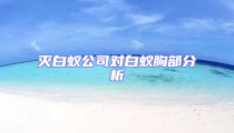滅白蟻公司對白蟻胸部分析