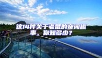 這14件關于老鼠的奇聞趣事,你知多少?
