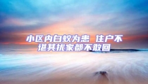 小區(qū)內(nèi)白蟻為患 住戶不堪其擾家都不敢回