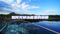 如何滅掉冰箱里的蟑螂