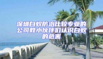深圳白蟻防治比較專業(yè)的公司教小伙伴們認(rèn)識(shí)白蟻的危害