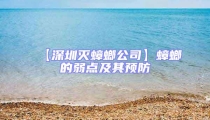 【深圳滅蟑螂公司】蟑螂的弱點(diǎn)及其預(yù)防