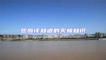 您應該知道的滅蟑知識