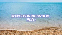 深圳白蟻防治白蟻來襲,當心!