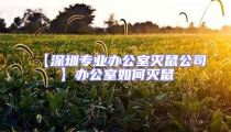 【深圳專業辦公室滅鼠公司】辦公室如何滅鼠