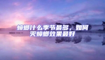 蟑螂什么季節(jié)最多，如何滅蟑螂效果最好