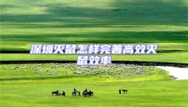 深圳滅鼠怎樣完善高效滅鼠效率