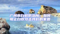 廣州市白蟻防治所:如何阻止白蟻攻擊我們的家園