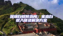 深圳白蟻防治所:家庭白蟻入侵及解決方案