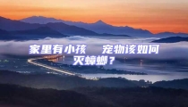 家里有小孩  寵物該如何滅蟑螂?