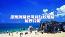 深圳消殺公司對白蟻范疇進行分解