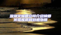 深圳滅蟑螂公司介紹蟑螂傳播疾病和致癌物質